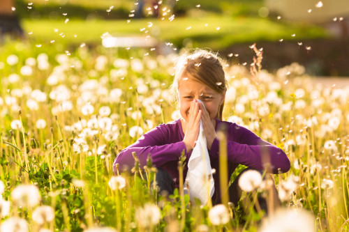 Five Tips to Reduce Your Hay Fever Symptoms